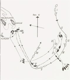 Map of the battle