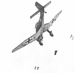 stuka dive bomber photo