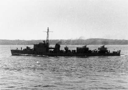 Torpedobåden HAMMER